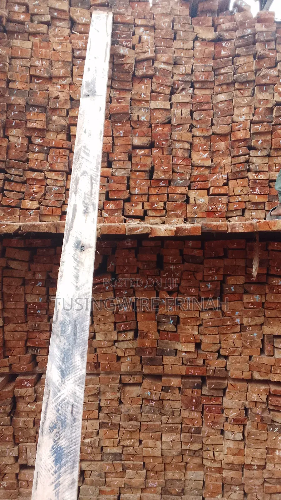 Timber for Building