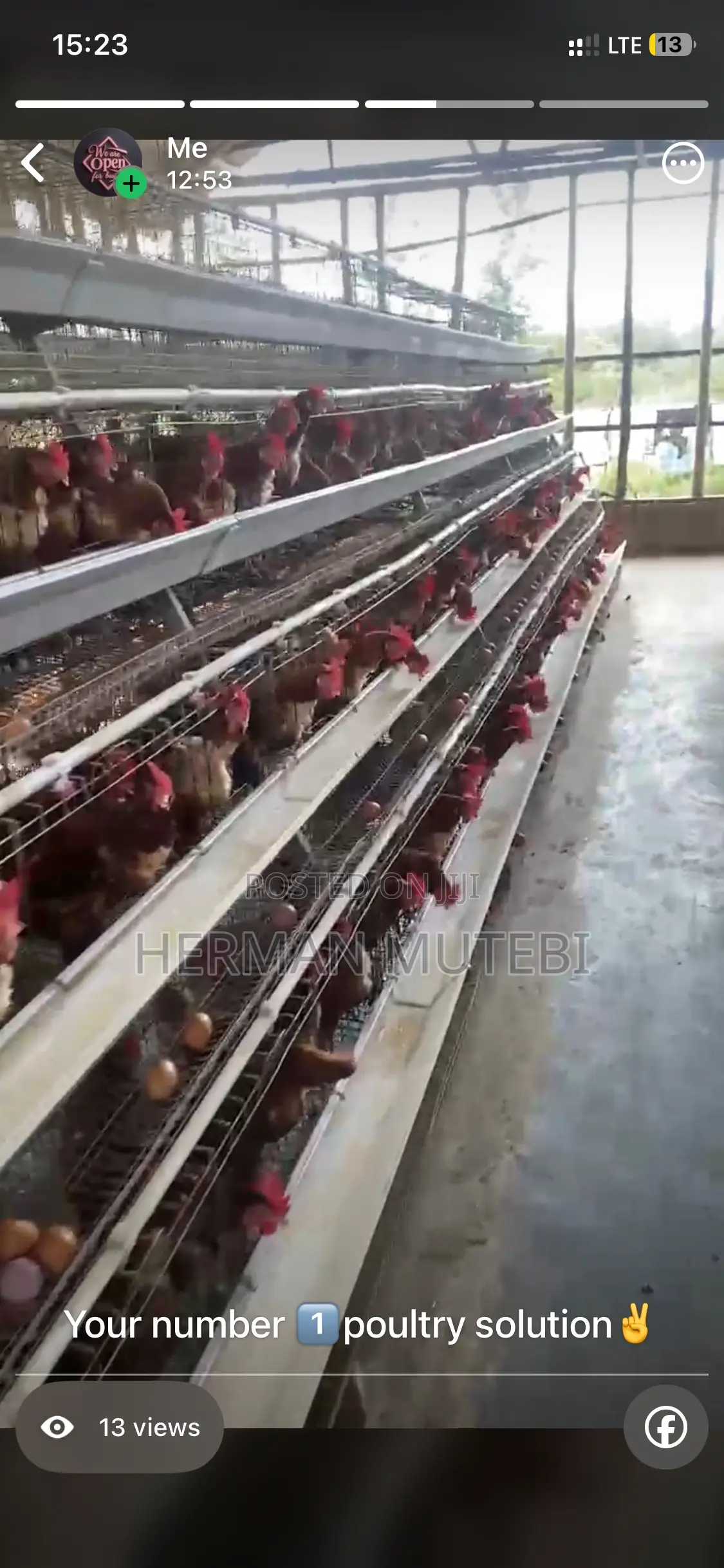 Imported Poultry Cages