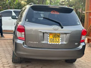 Toyota Corolla Fielder 2010 Gray
