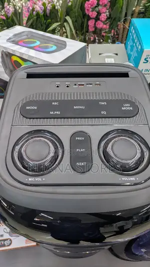 Ailipu Professional Party Box Bluetooth Speaker