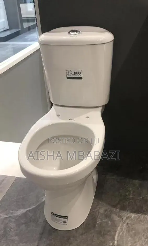 Toilets and Basins