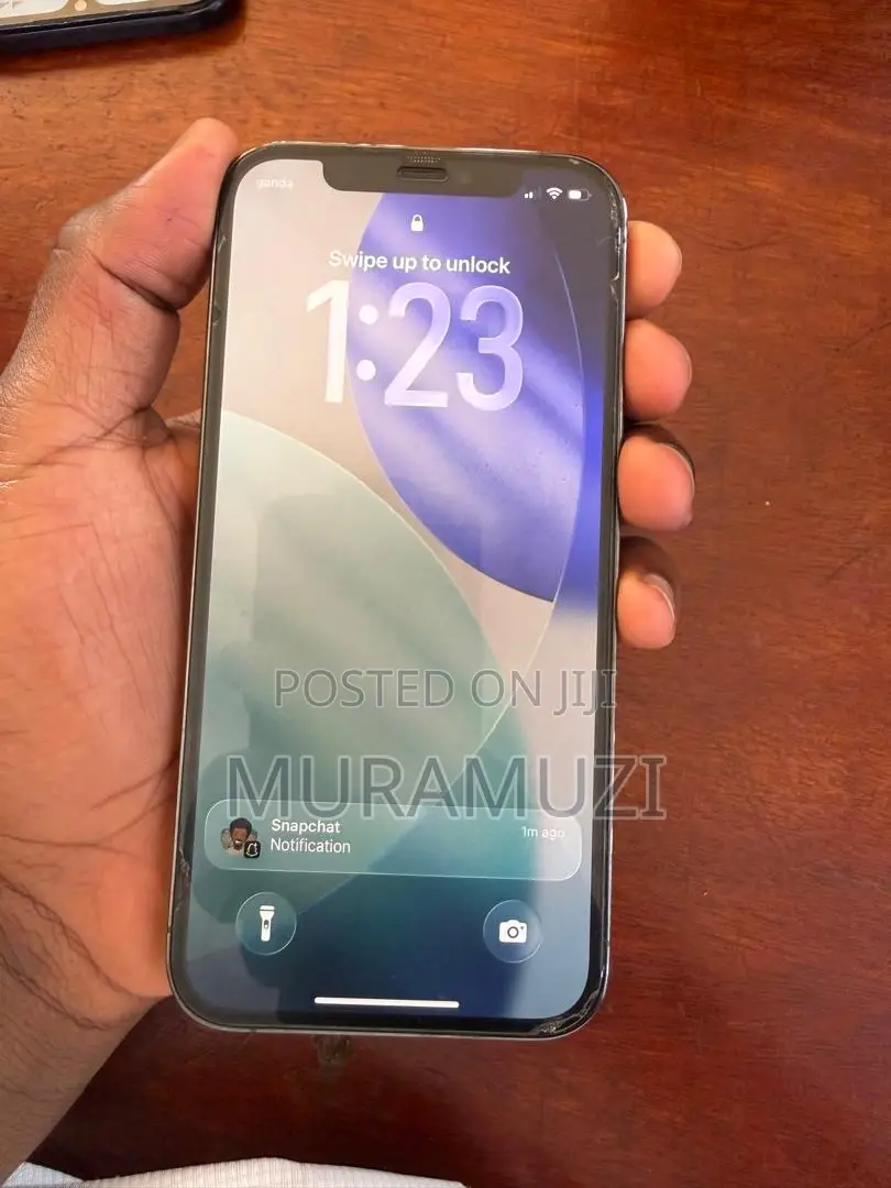 Apple iPhone 12 Pro 128 GB Gray