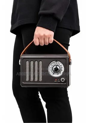 Green Lion Vintage Radio Speaker