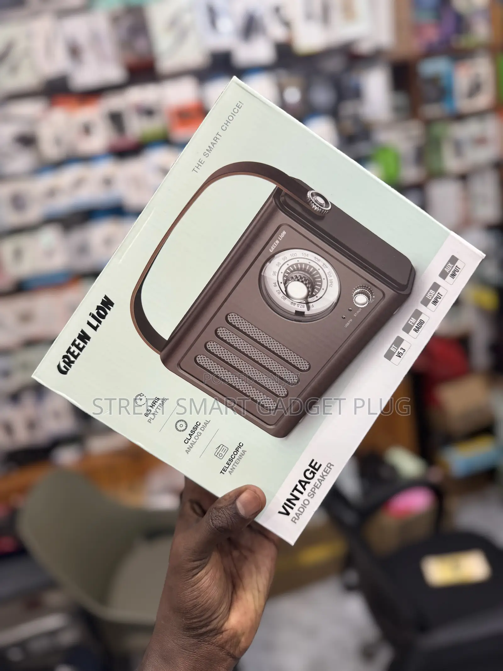 Greenlion Fm Radio and Bluetooth Speaker