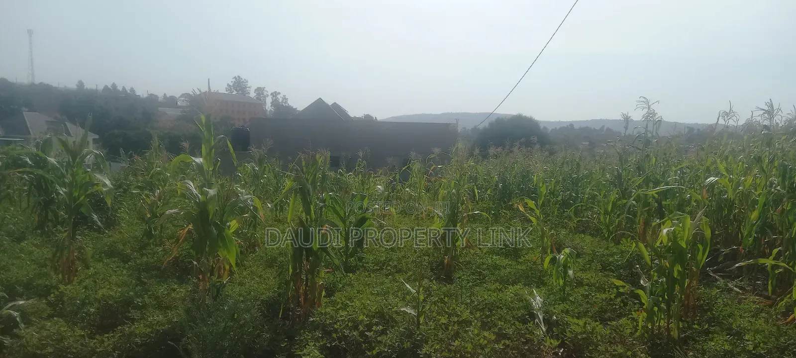 25ft By50ft, Mbarara City