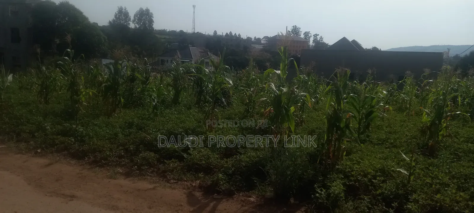 25ft By50ft, Mbarara City