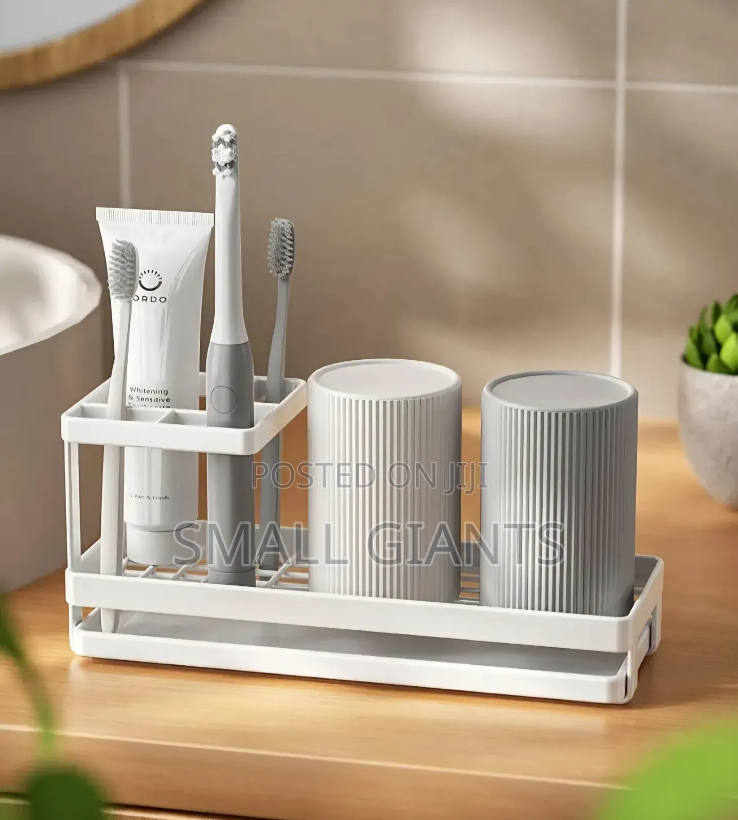 Rustproof Bathroom Toothbrush Holder With Drain Tray