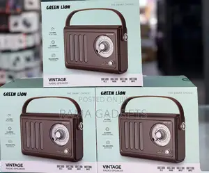 Green Lion Vintage Radio Speaker