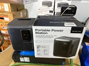 960wh Ecoflow Backup Power Station With Fast Ups Function