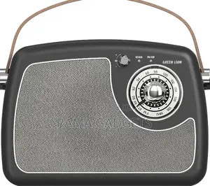 Green Lion Retro Radio Speaker