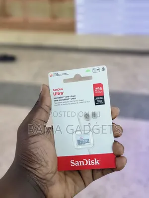 Sandisk Ultra 256gb Microsdxc Uhs-I Memory Card.