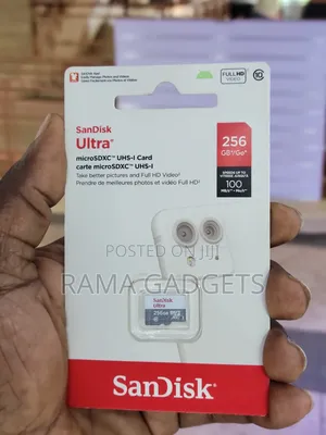 Sandisk Ultra 256gb Microsdxc Uhs-I Memory Card.