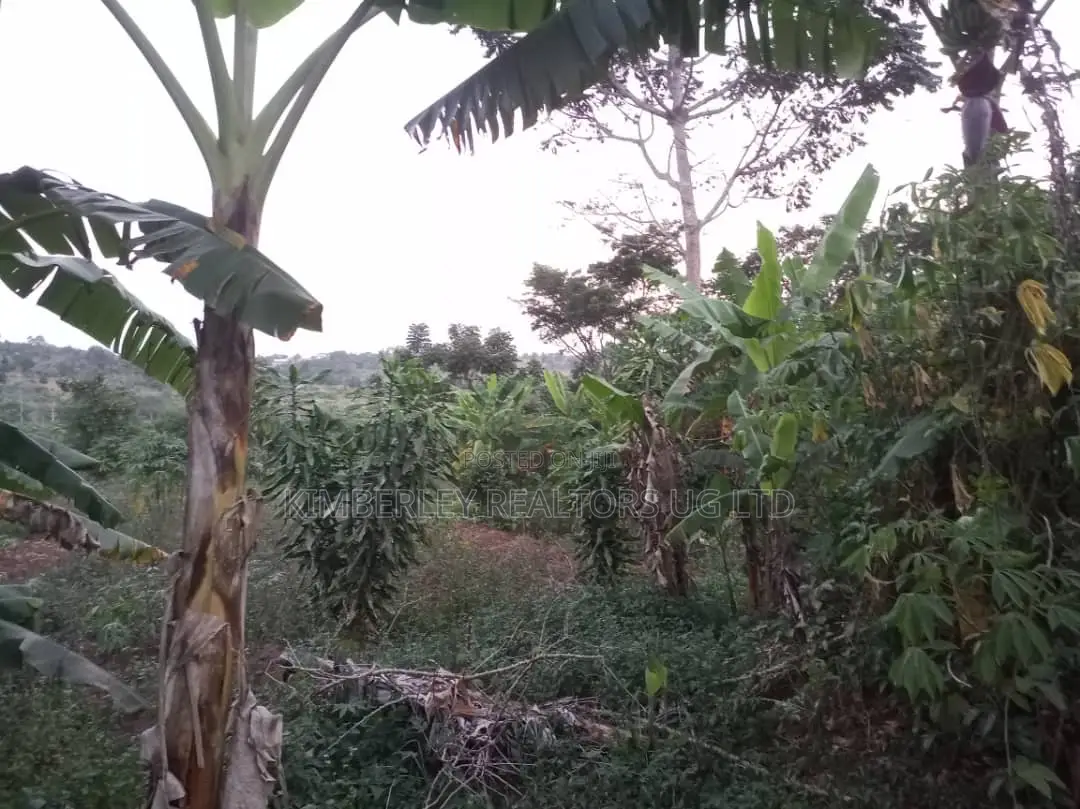 Land for Sale – Mawala, Semuto Road