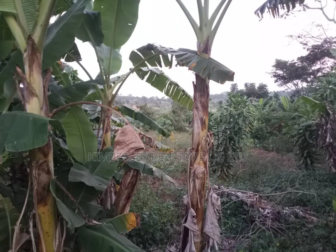 Land for Sale – Mawala, Semuto Road