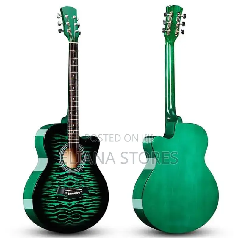 The Olive Tree T-R40 Gn Acoustic Guitar