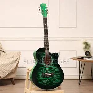 The Olive Tree T-R40 Gn Acoustic Guitar