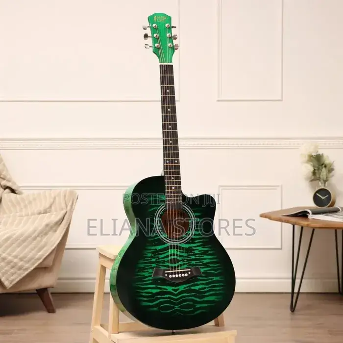 The Olive Tree T-R40 Gn Acoustic Guitar