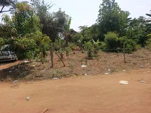 3 Acres With a Title at Only 13m Per Acre in Kikyusa