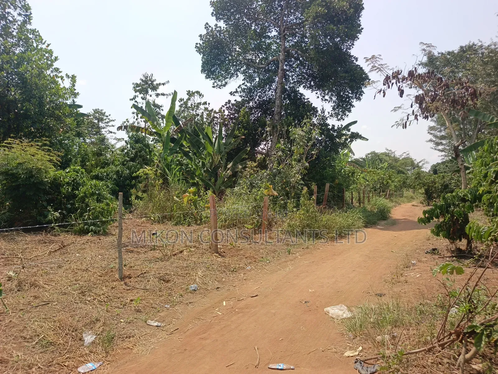 3 Acres With a Title at Only 13m Per Acre in Kikyusa