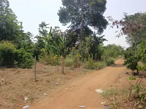3 Acres With a Title at Only 13m Per Acre in Kikyusa