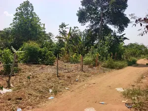 3 Acres With a Title at Only 13m Per Acre in Kikyusa