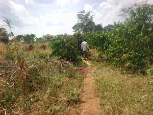15 Acres in Kamira, Luwero District With a Title at Only 10m Per.
