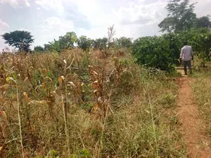 15 Acres in Kamira, Luwero District With a Title at Only 10m Per.