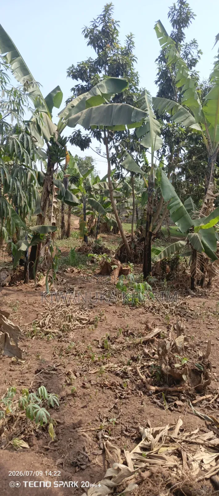 25 Decimals for Sale Located Mbarwa Unbs Side