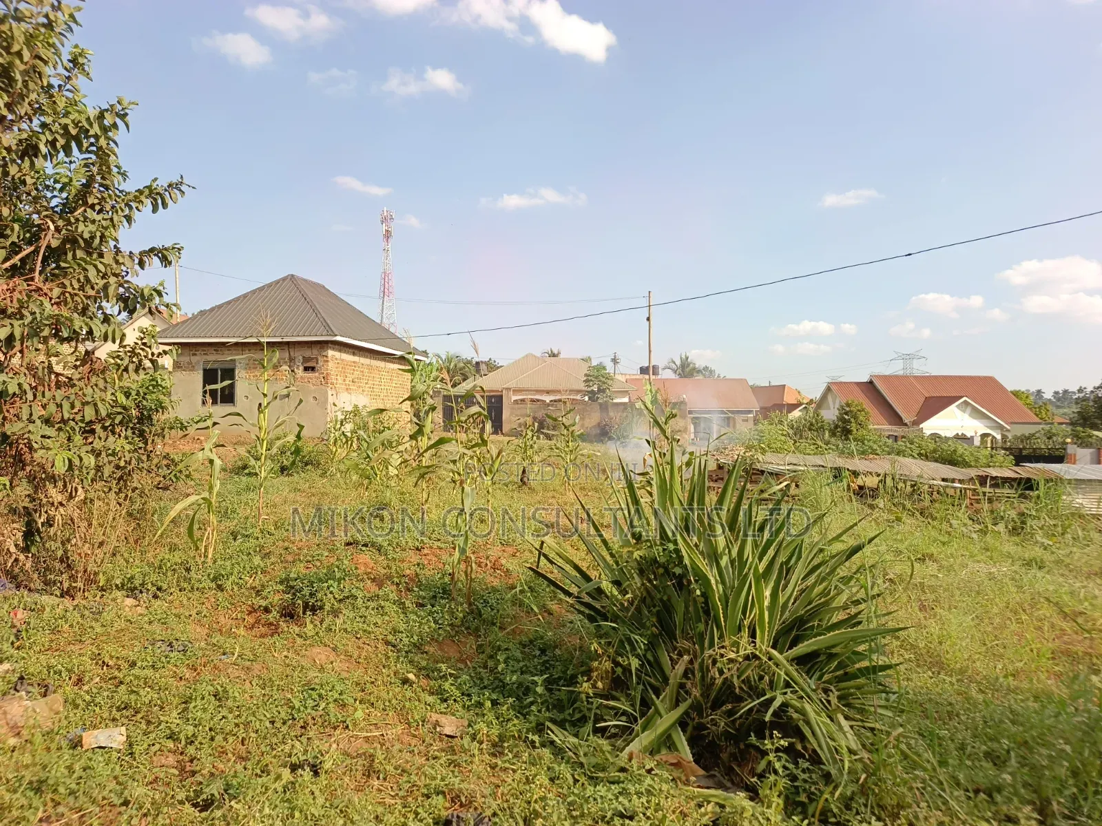 Hot Cake Plot in the Heart of Matuga Town