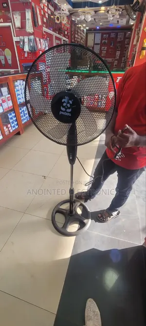 Panda Wall Fans Available