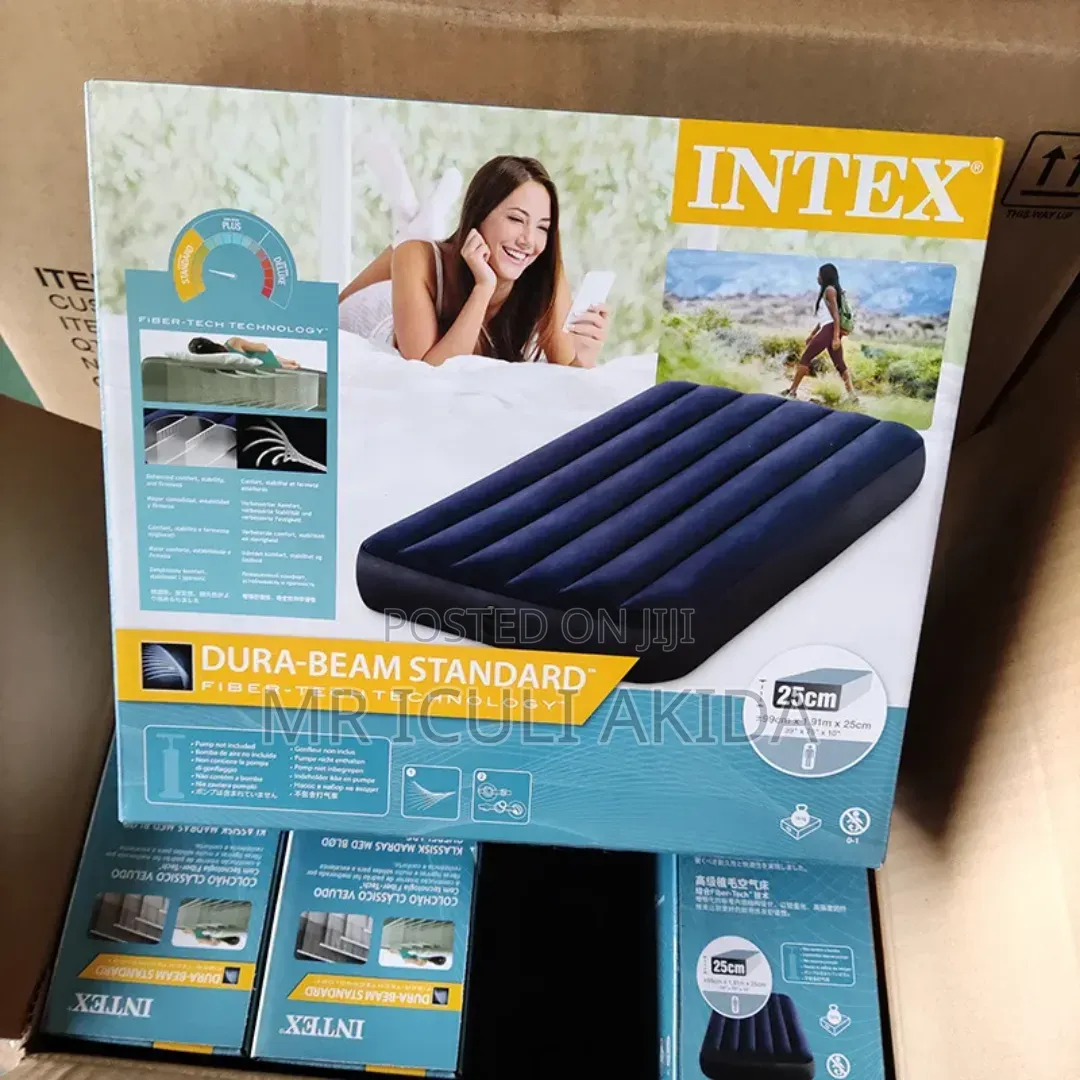 4x6 Intex Inflatable Pressure Mattress With It's Pump