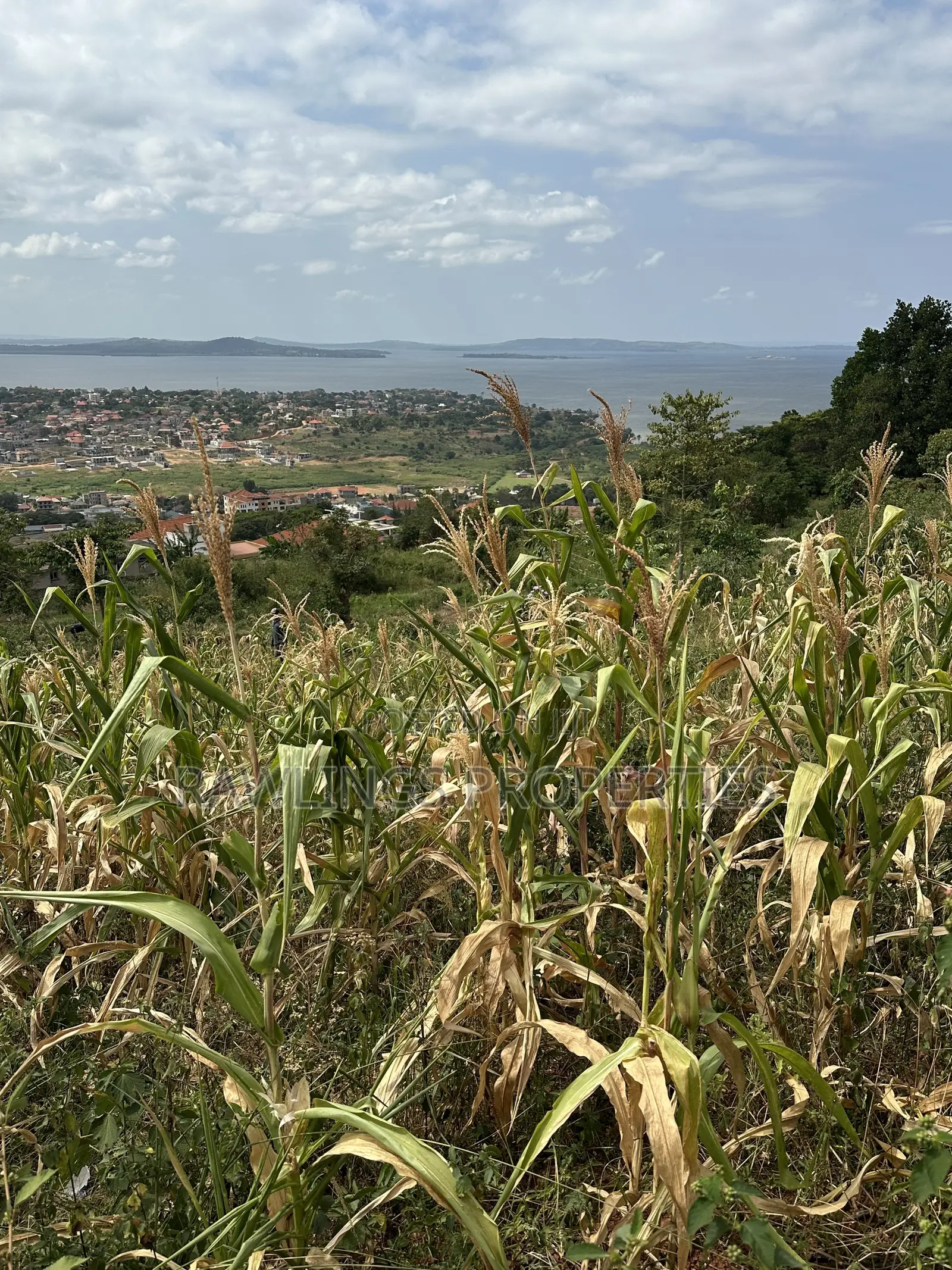 3 Acres for Sale in Kigo at $450,000