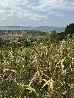 3 Acres for Sale in Kigo at $450,000