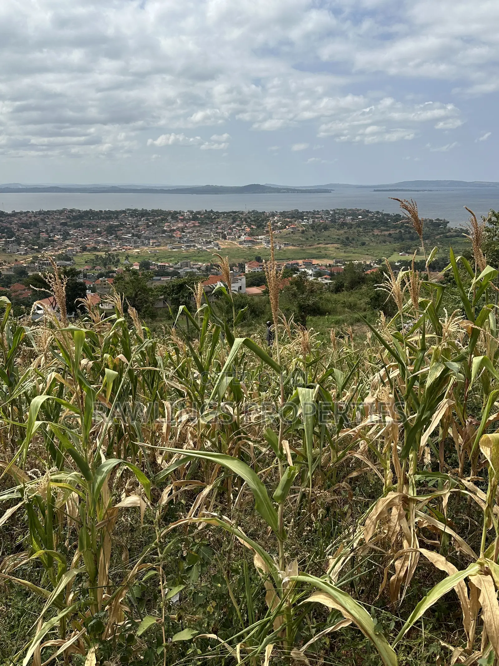 3 Acres for Sale in Kigo at $450,000