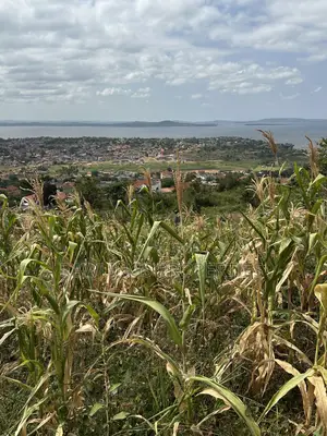 3 Acres for Sale in Kigo at $450,000