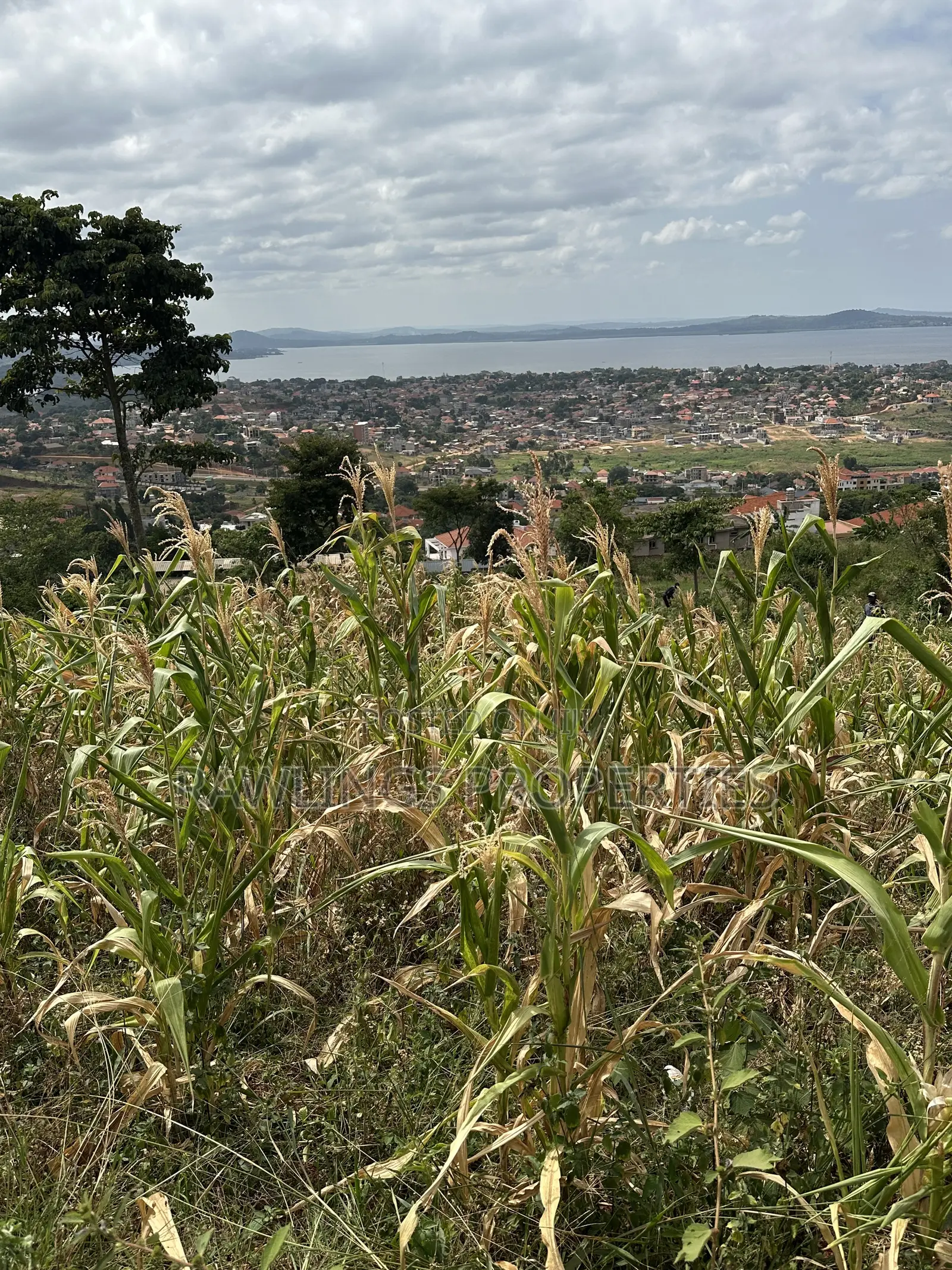 3 Acres for Sale in Kigo at $450,000