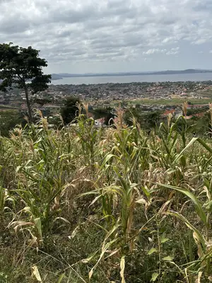 3 Acres for Sale in Kigo at $450,000
