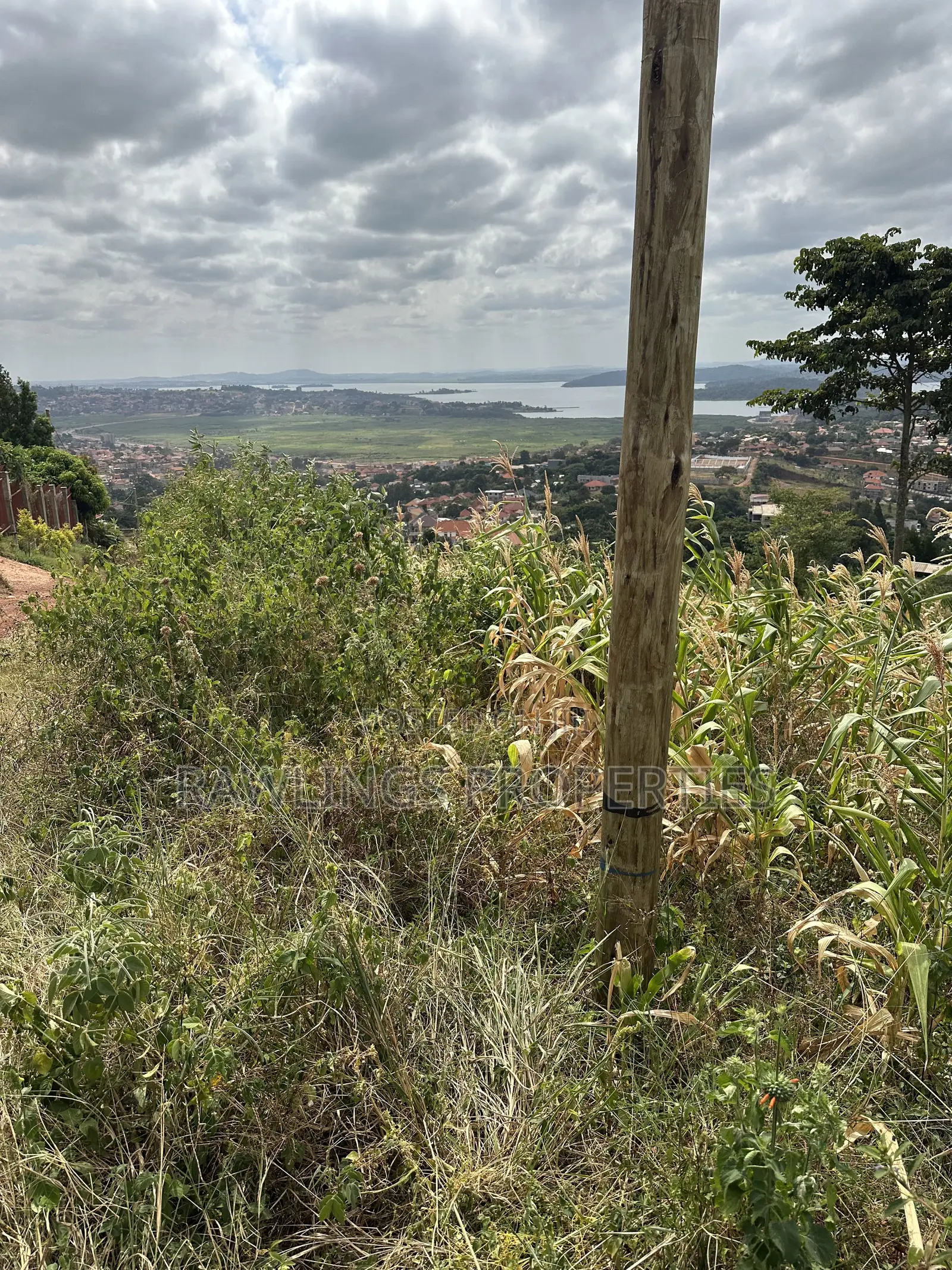 3 Acres for Sale in Kigo at $450,000