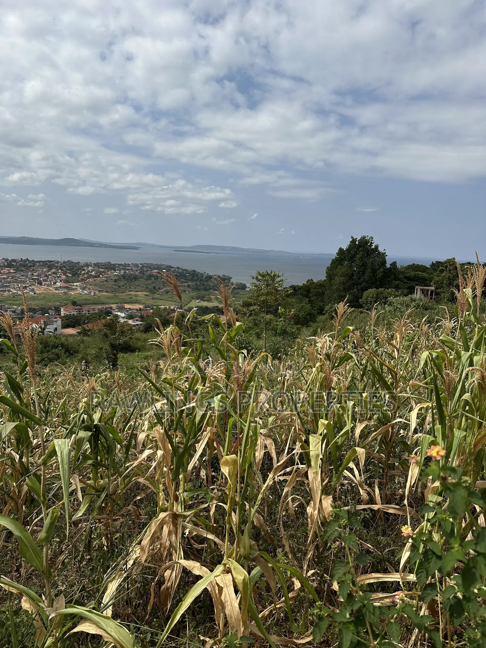 3 Acres for Sale in Kigo at $450,000