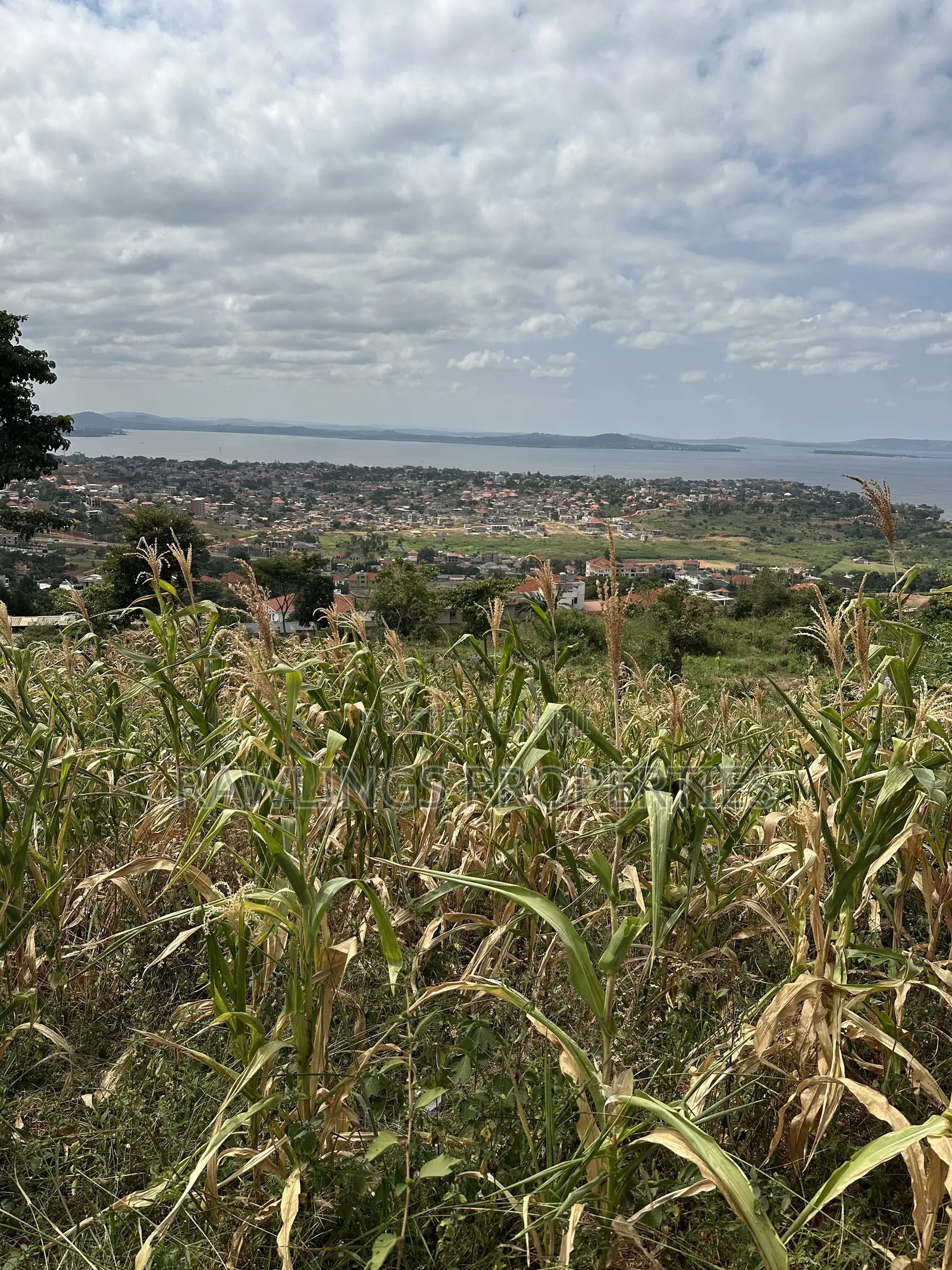 3 Acres for Sale in Kigo at $450,000