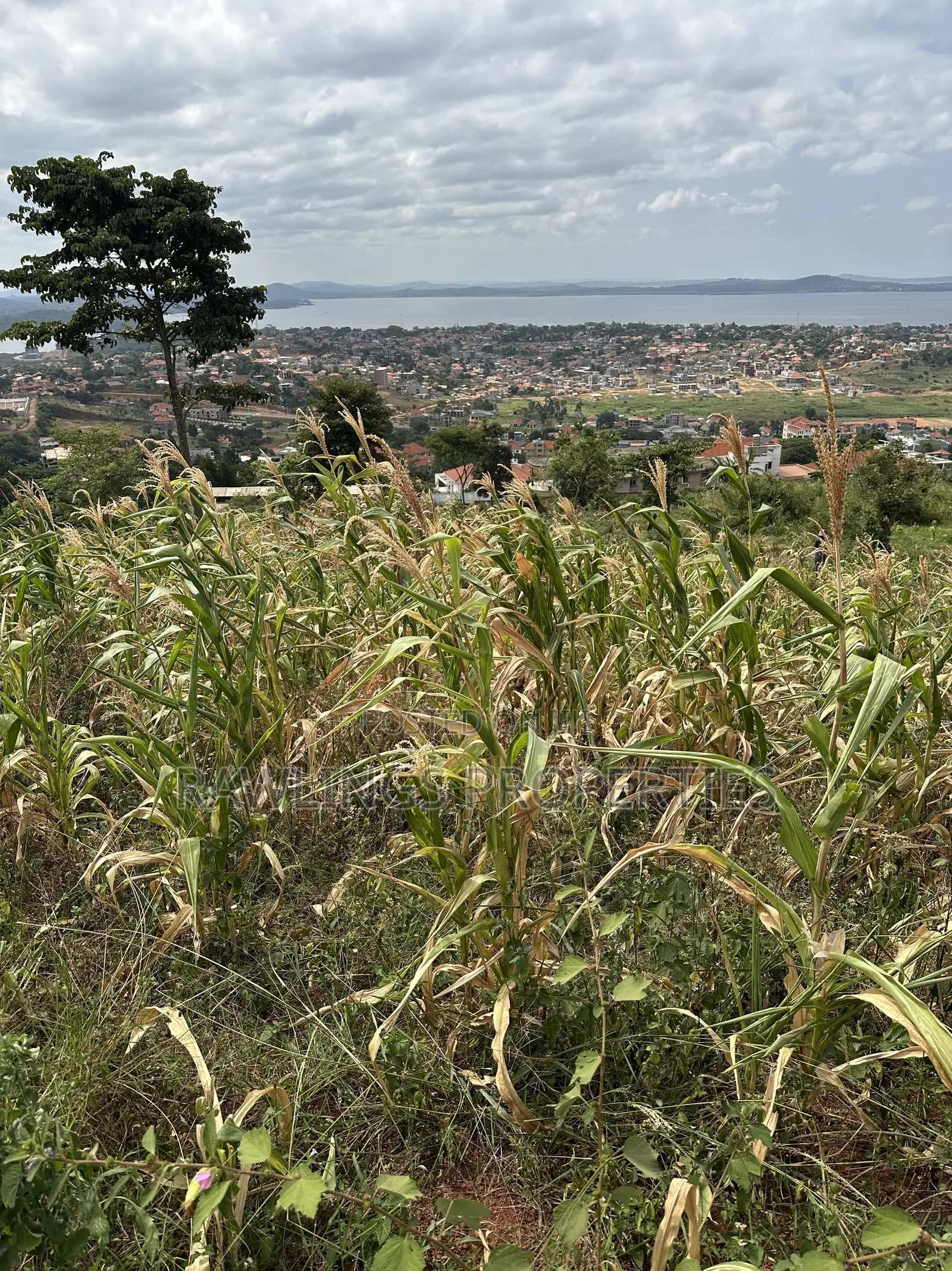 3 Acres for Sale in Kigo at $450,000