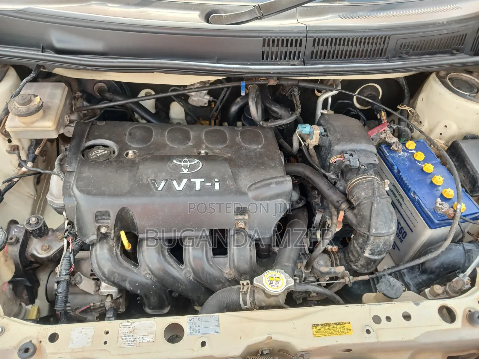 Toyota Raum 2003 Ivory