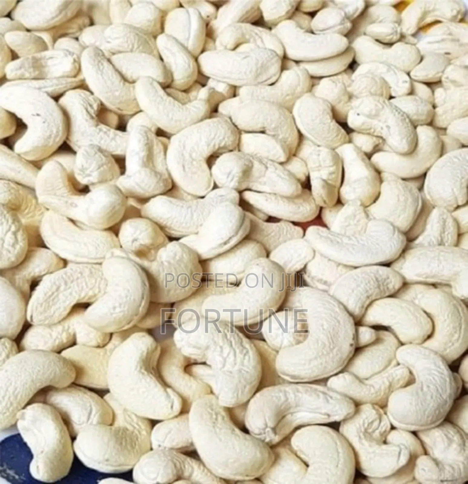 Cashew Nuts Fresh Kg