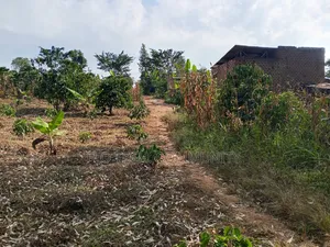 50*50 Plot on Sale in Mityana