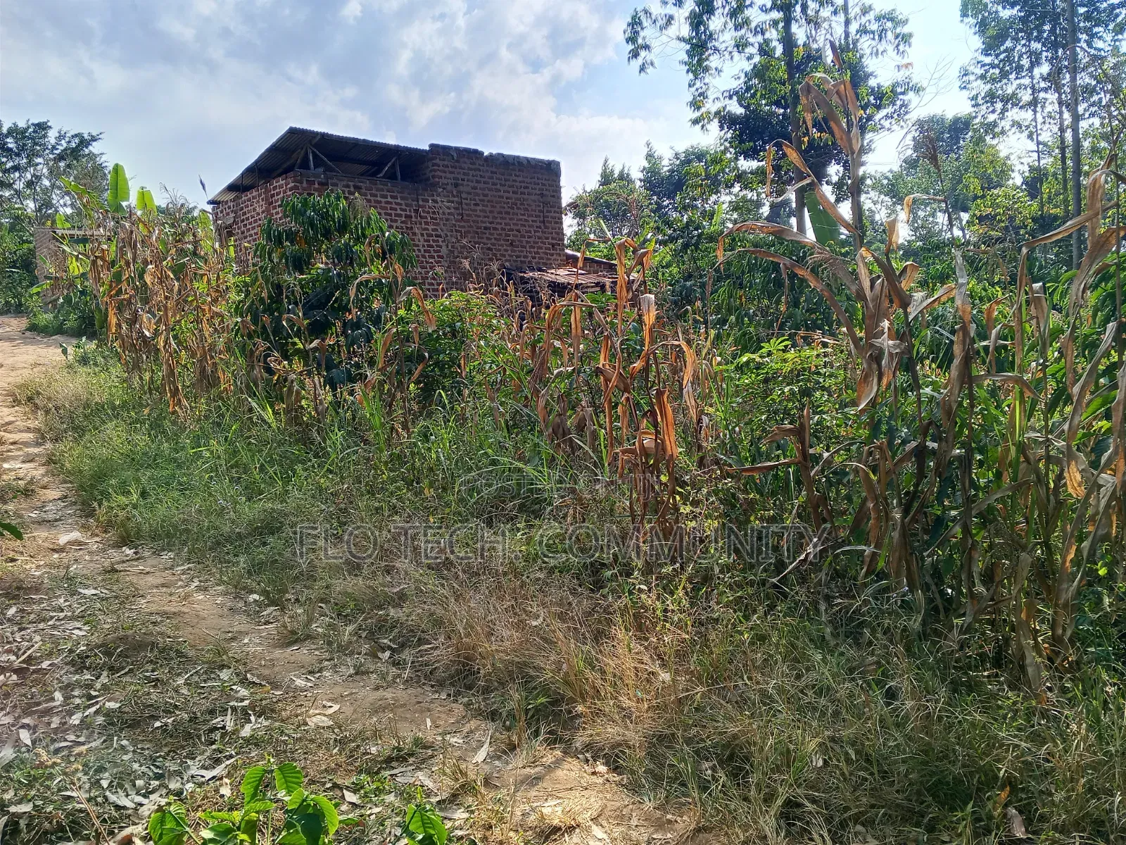 50*50 Plot on Sale in Mityana