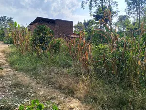50*50 Plot on Sale in Mityana