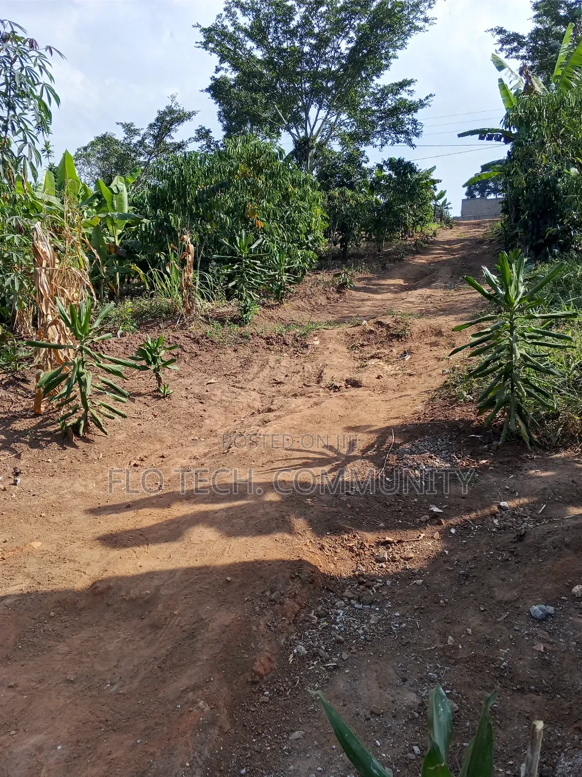 1 Acre on Sale in Lusanja Mityana District