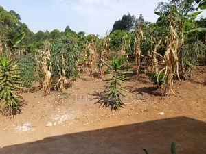 1 Acre on Sale in Lusanja Mityana District