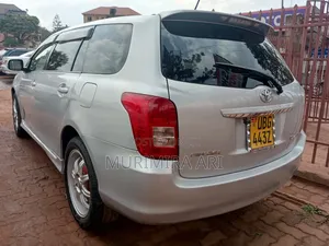 Toyota Corolla Fielder 2007 Silver