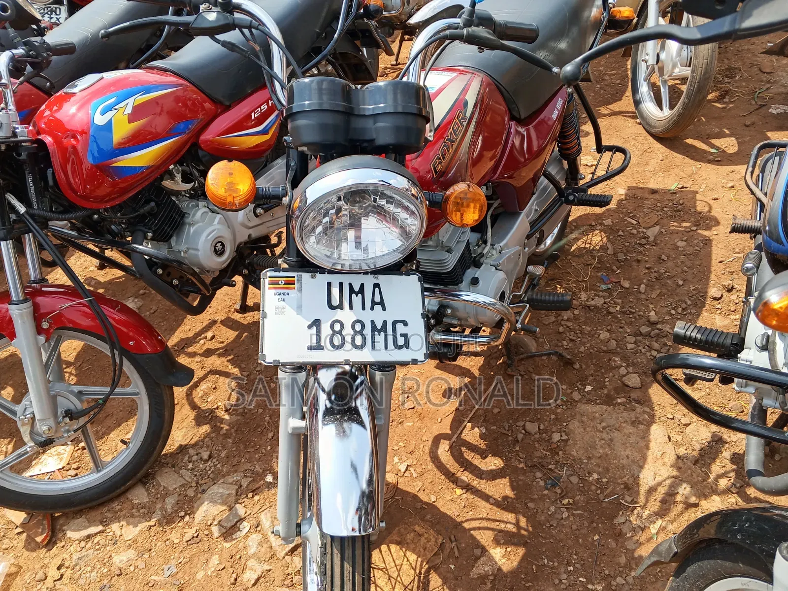Bajaj Boxer 100 2025 Red